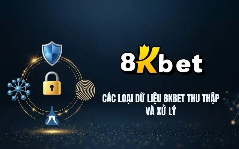 Các loại dữ liệu 8Kbet thu thập và xử lý