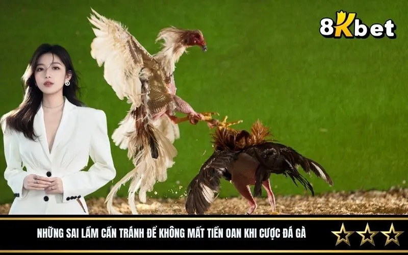 Những sai lầm cần tránh để không mất tiền oan khi cược đá gà