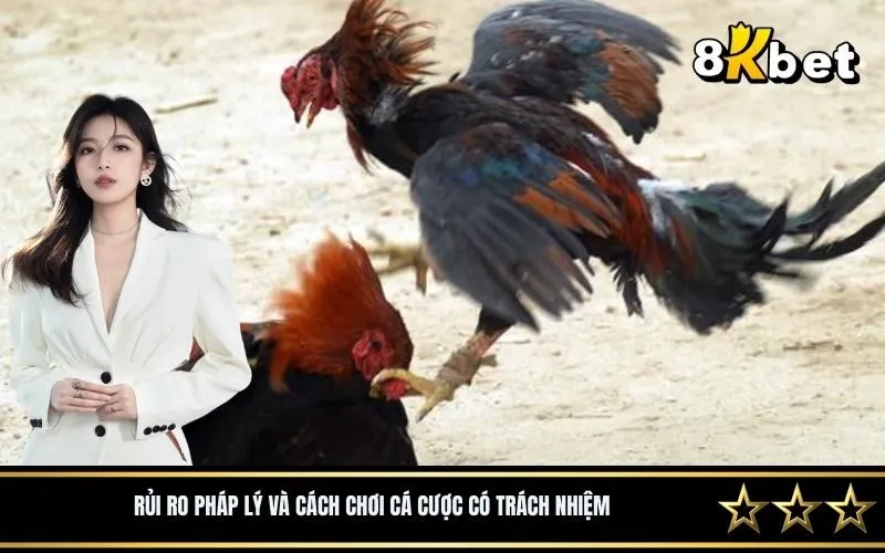 Rủi ro pháp lý và cách chơi cá cược có trách nhiệm